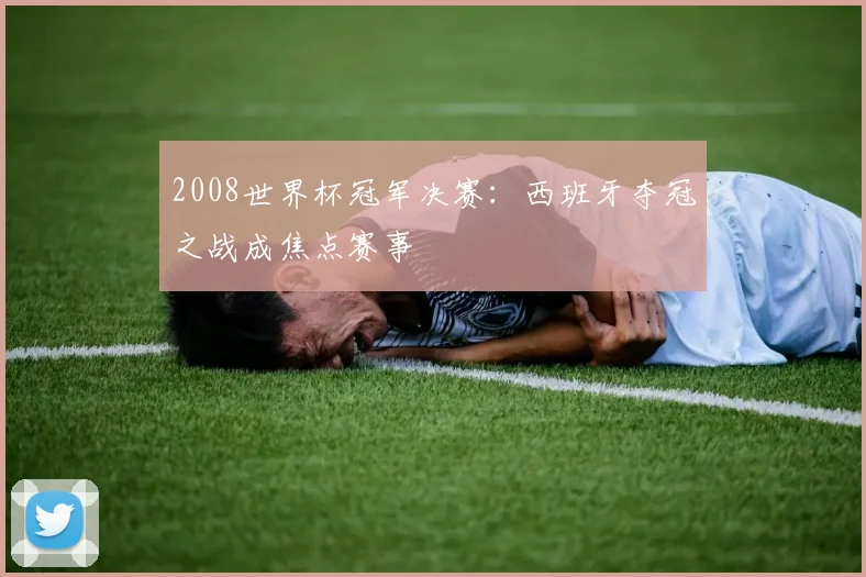 2008世界杯冠军决赛：西班牙夺冠之战成焦点赛事